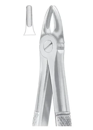 Upper incisors for children