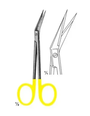General