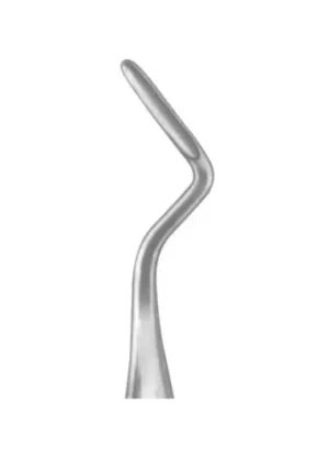 APICAL