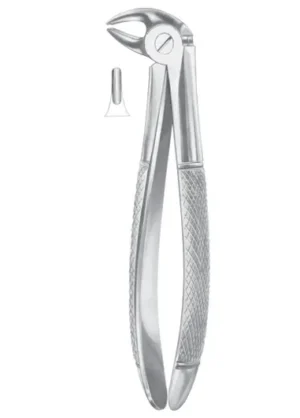 Lower premolars for children