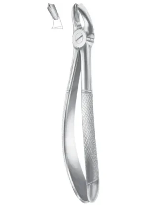 Upper molars, right