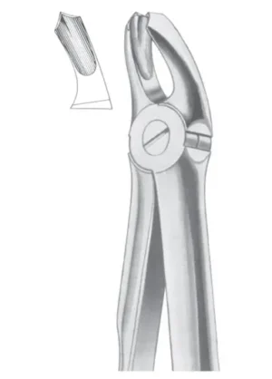 Upper molars