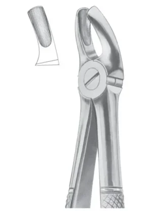 Upper molars
