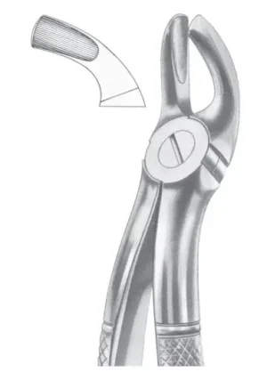 Upper third molars