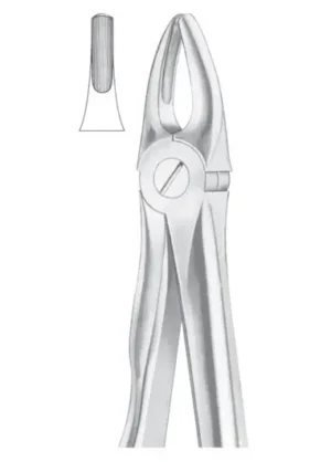 Upper laterals and canines