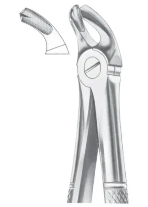 Lower molars