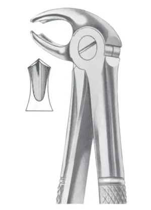 Lower molars