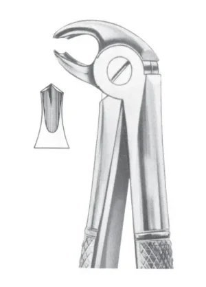 Lower molars for children