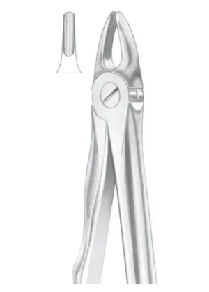 Upper incisors for children