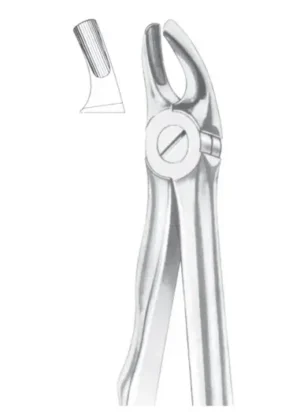 Upper incisors for children