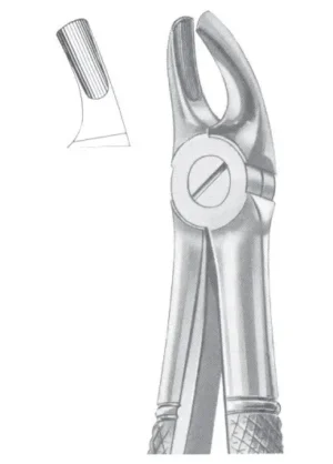 Upper molars for children
