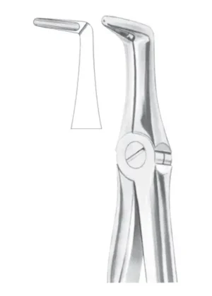 Lower roots
