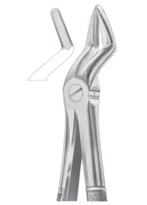 Upper teeth and resection