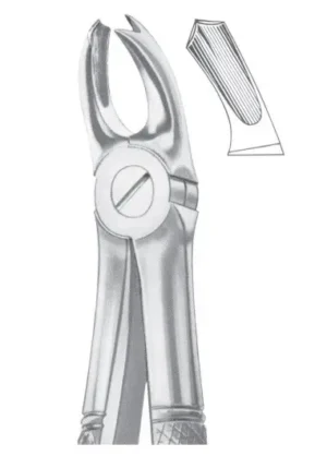 Upper molars right for children
