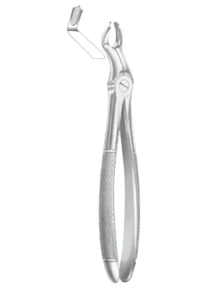 Upper third molars right