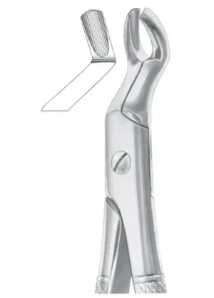 Upper third molars