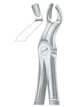 Upper third molars