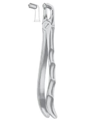 Lower third molars