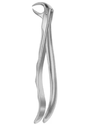 Lower molars