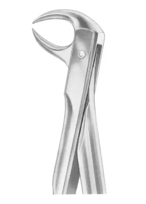 Lower molars