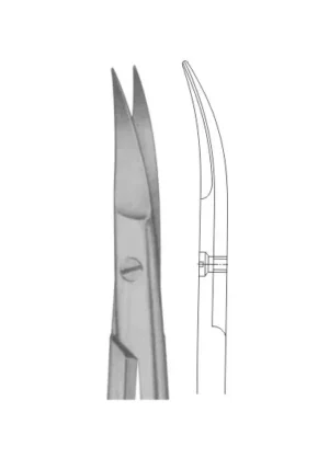 KELLY Size: 175 mm