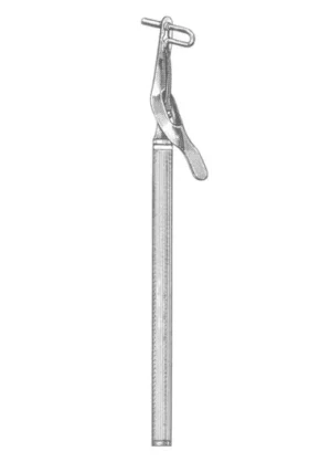 Medium 15.5 cm