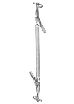 Medium-Large 20 cm