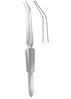 16 cm, 61/4”