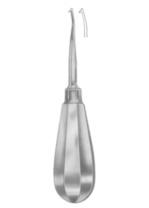 APICAL