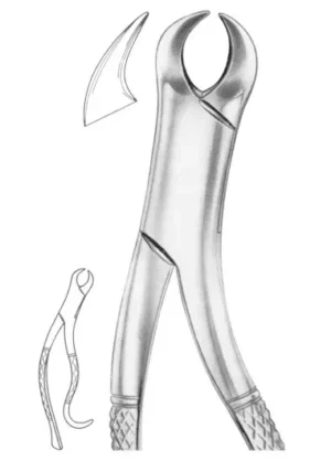 Fig. 16S lower molars for children1236 Fig. 16S lower molars for children