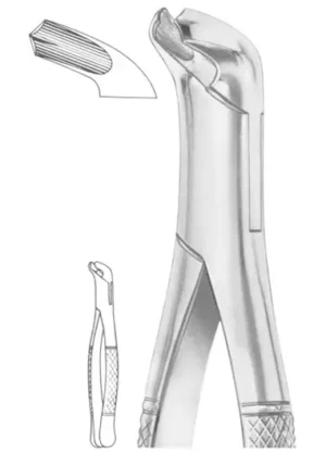 Fig. 17 lower molars