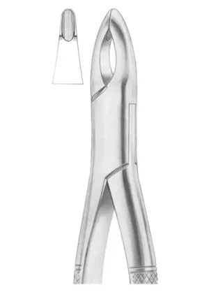 upper centrals and canines