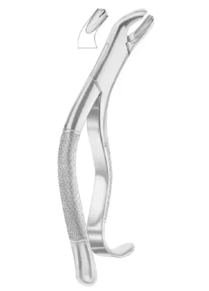 Swing lower molars