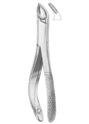 Fig. 365/150SK upper anteriors and roots