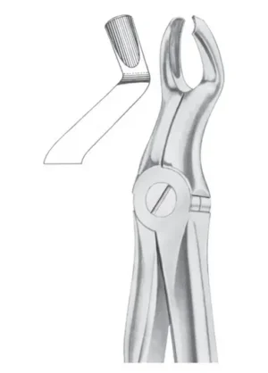 upper third molars left
