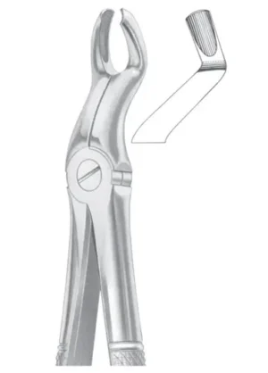 Upper third molars left