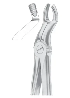 upper third molars