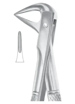 lower roots and crowded incisors