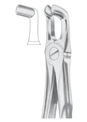 lower third molars