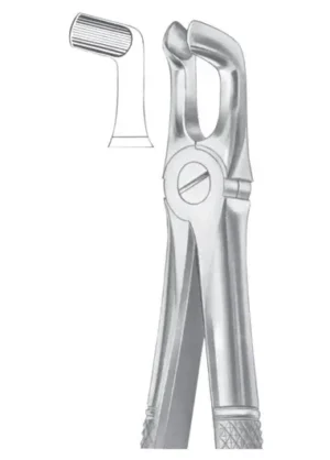 lower third molars