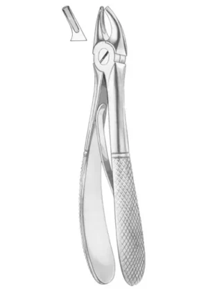 KLEIN (Fig. 218) upper premolars