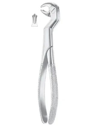ROUTURIER (Fig. 212) ( 22 ½ L ) lower molars and wisdom left
