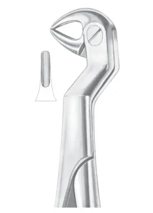 ROUTURIER (Fig. 214) ( 22 ½ L) lower molars and wisdom left