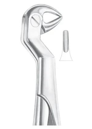 ROUTURIER (Fig. 215) ( 33 ½ R) lower molars and wisdom right